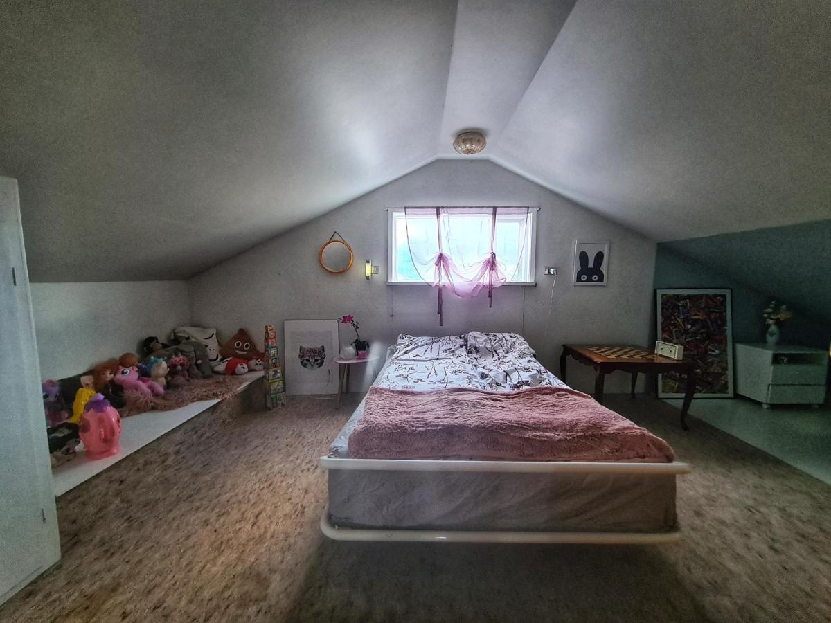 فيلا Húsavíkفي Holkot Scenic Farm المظهر الخارجي الصورة